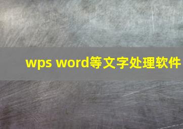 wps word等文字处理软件